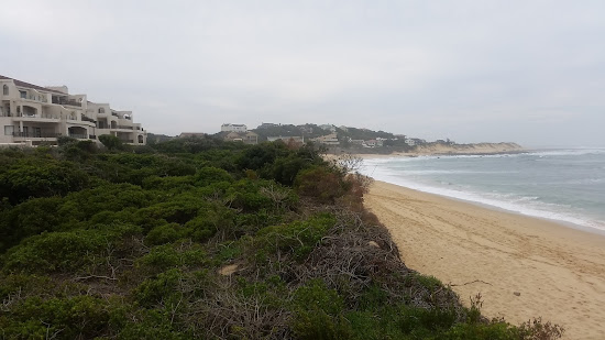 Forest Downs beach