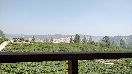 Vineyard «Gold Hill Vineyard», reviews and photos, 5660 Vineyard Ln, Placerville, CA 95667, USA