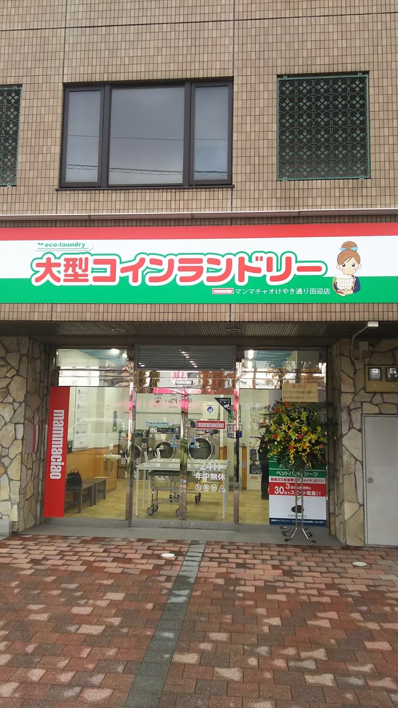 大型コインランドリー マンマチャオけやき通り田迎店