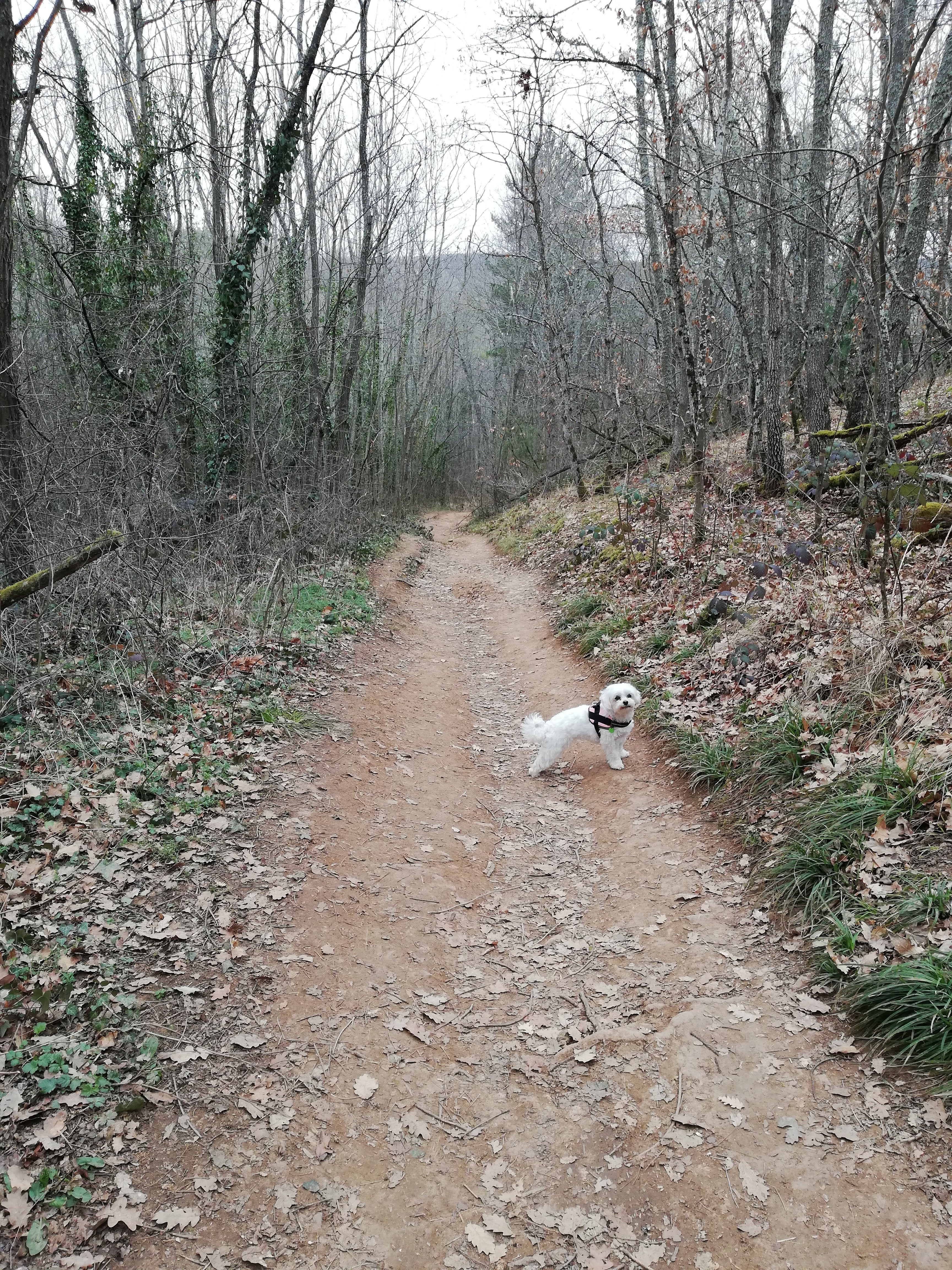 Photo n° 3 de l'avis de Nathalie.U fait le 03/03/2021 à 15:28