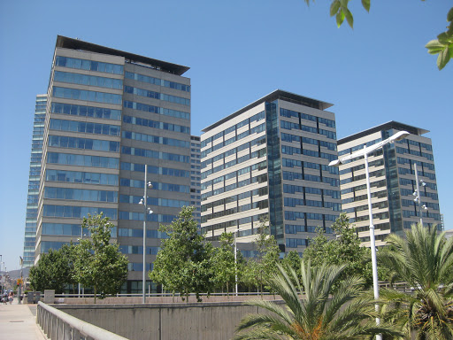 Información y opiniones sobre ALTEN de Barcelona