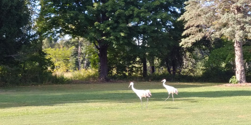 Golf Course «Elbel Golf Course», reviews and photos, 26595 Auten Rd, South Bend, IN 46628, USA