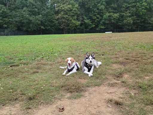 Park «Maryland City Park», reviews and photos, 565 Brock Bridge Rd, Laurel, MD 20724, USA