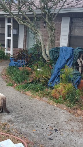 Roofing Contractor «Advantage Roofing Inc.», reviews and photos, 6903 Partridge Ln, Orlando, FL 32807, USA