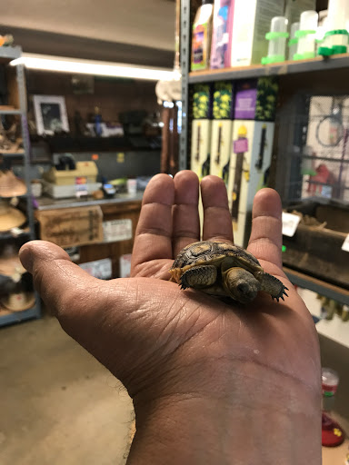 Animal Feed Store «Whittier Feed Store», reviews and photos, 12618 Penn St, Whittier, CA 90602, USA