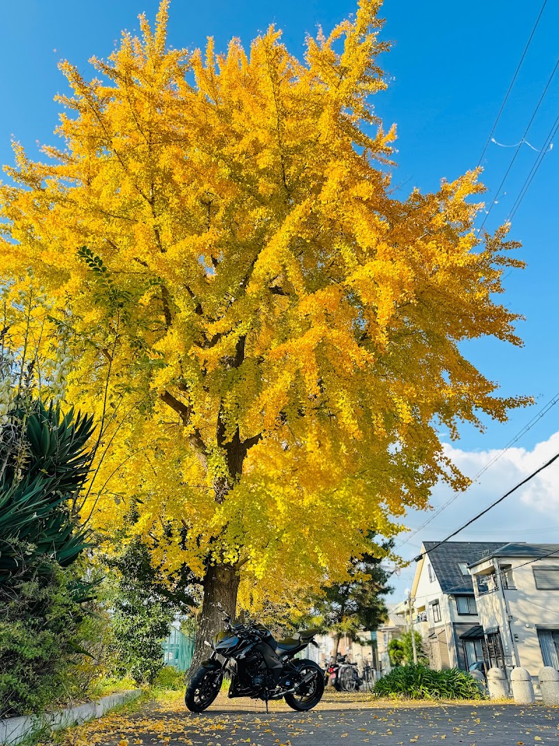 中之島公園