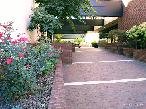 Personal Injury Attorney «The Miley Legal Group», reviews and photos