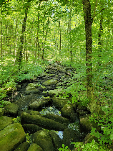 Nature Preserve «Summer Star Wildlife Sanctuary», reviews and photos, 690 Linden St, Boylston, MA 01505, USA