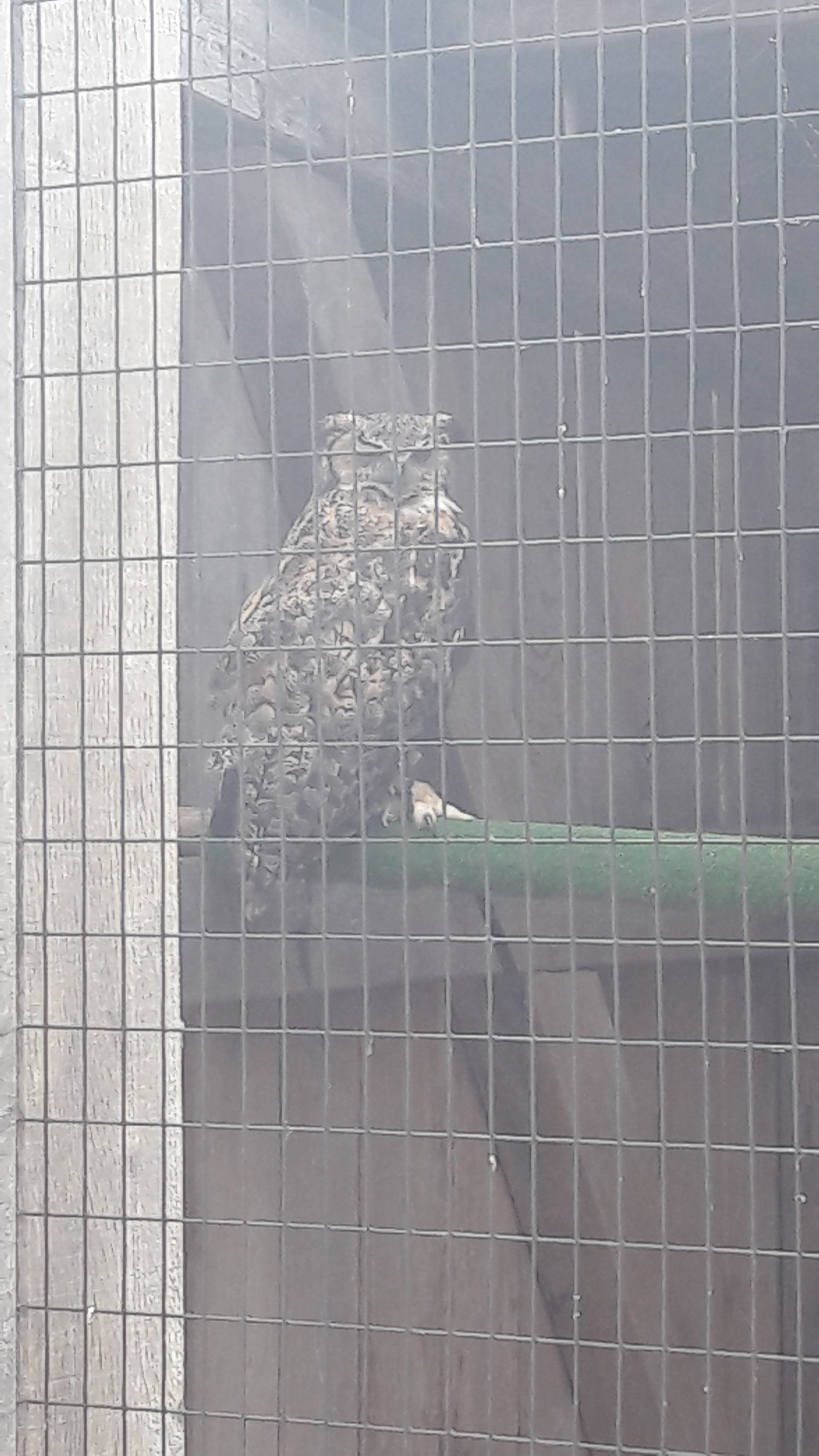 Photo n° 8 de l'avis de Lise.e fait le 14/07/2018 à 16:26