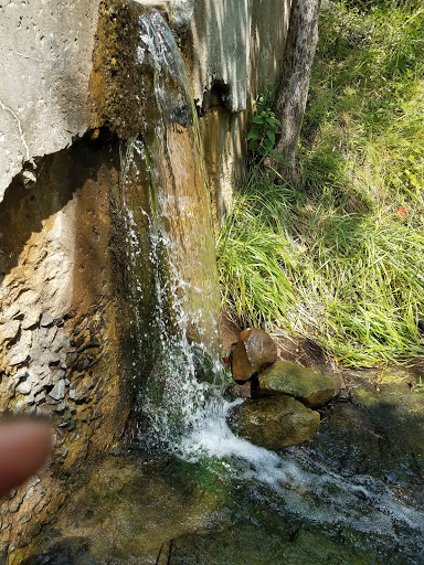 Tourist Attraction «Dinosaur Footprints», reviews and photos, US-5, Holyoke, MA 01040, USA