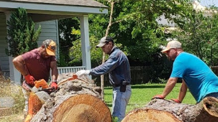 Honest Tree Trimming & Removal Services