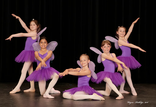 Dance School «American Dance Institute Greenwood», reviews and photos, 8001 Greenwood Ave N, Seattle, WA 98103, USA