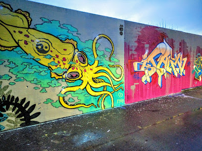 Graffitiwand Badi Frauenfeld