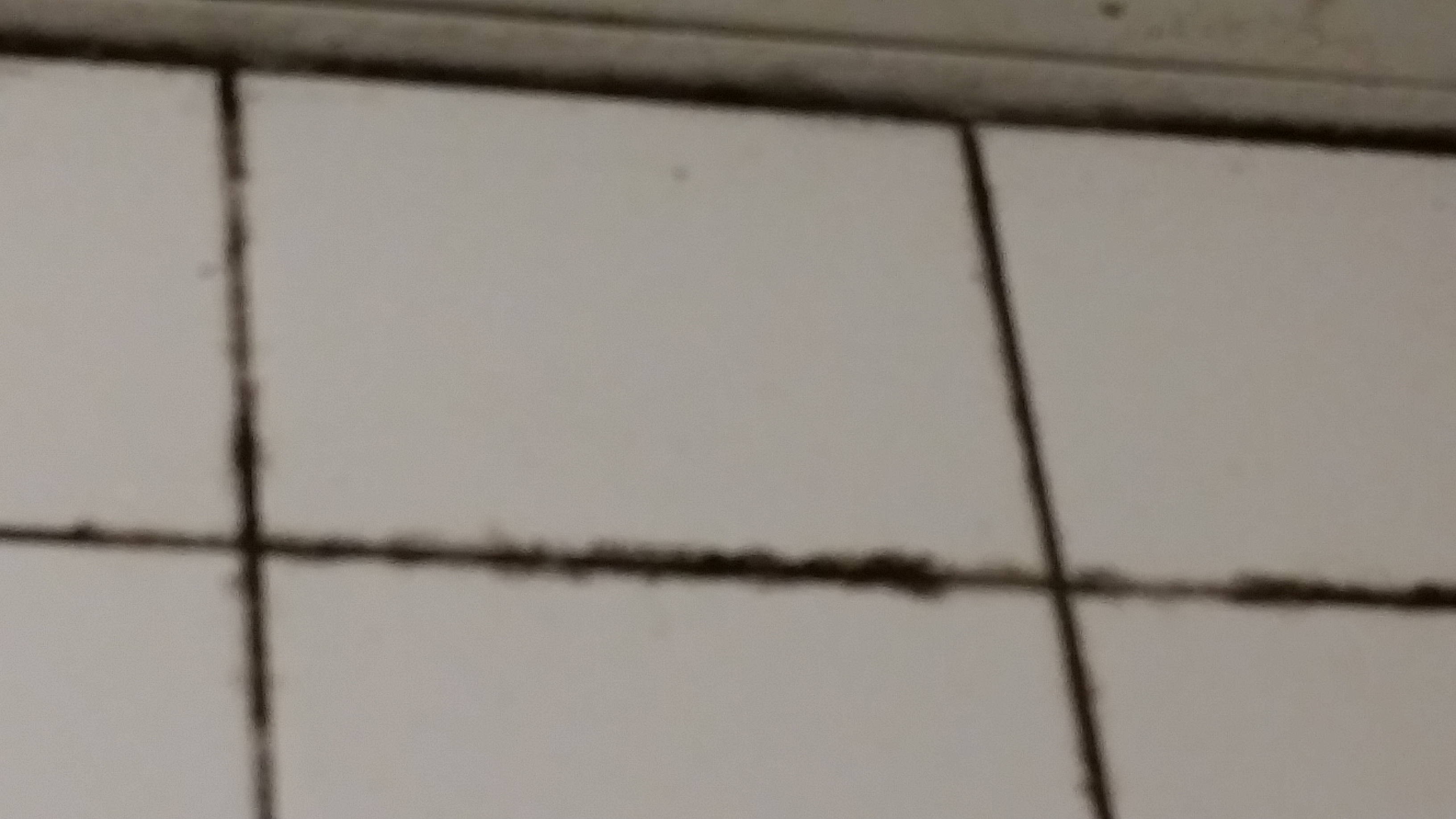 Photo n° 5 de l'avis de Bricoleur.i fait le 17/09/2018 à 19:22