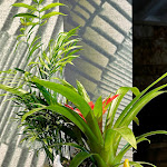 Photo n°8 de l'avis de Fénix. fait le 12/02/2024 à 10:58 sur le  Mercadante Pizza e Cucina à Altamura