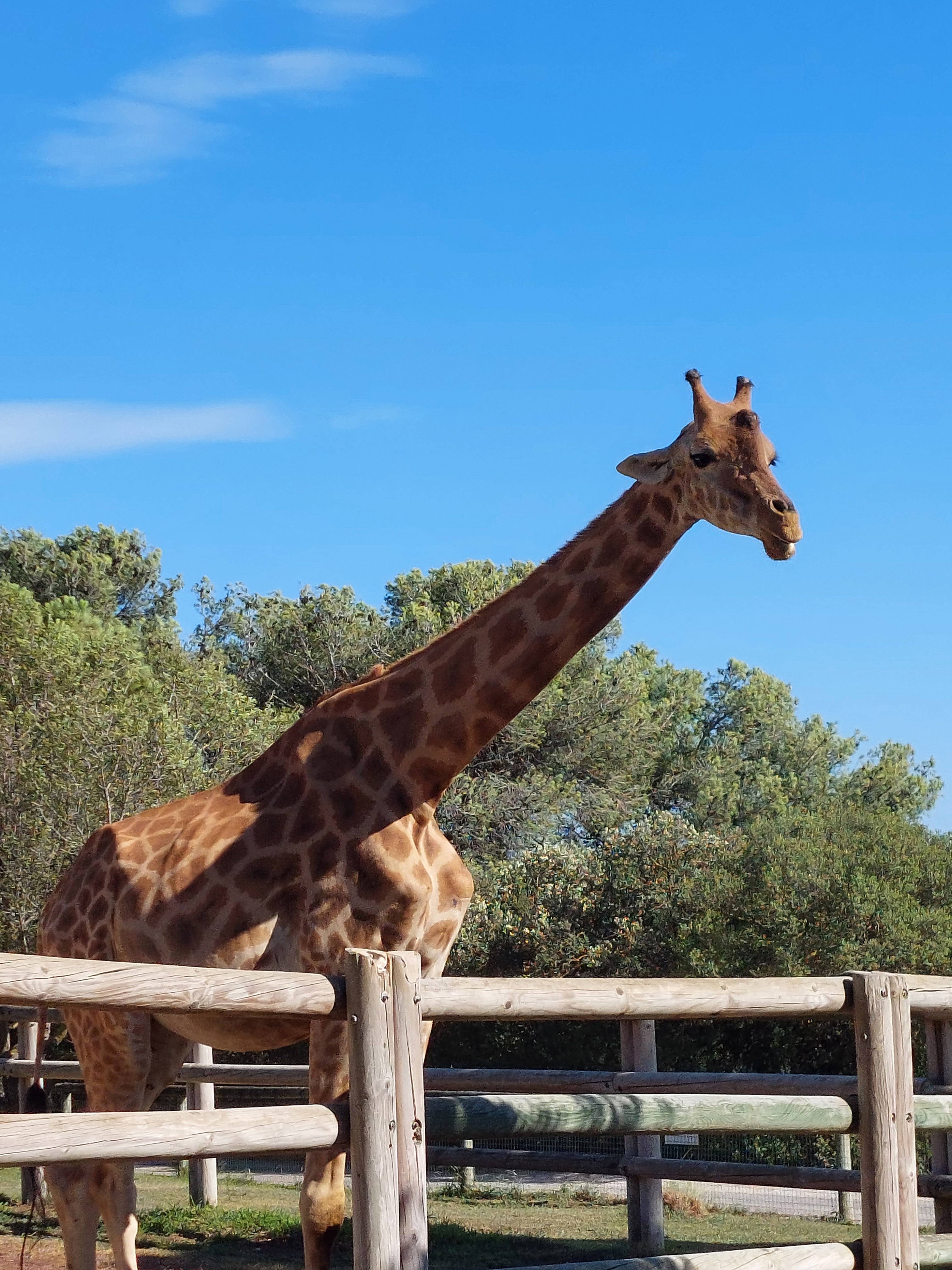 Photo n° 22 de l'avis de Sophie.A fait le 15/08/2023 à 18:48