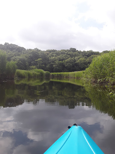 Nissequogue River Canoe and Kayak Rental