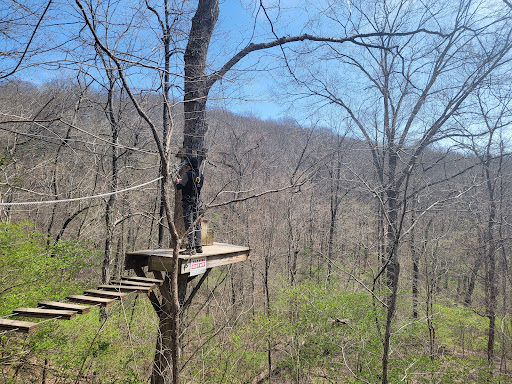 Tourist Attraction «Adventureworks Zipline Forest», reviews and photos, 4129 Whites Creek Pike, Whites Creek, TN 37189, USA