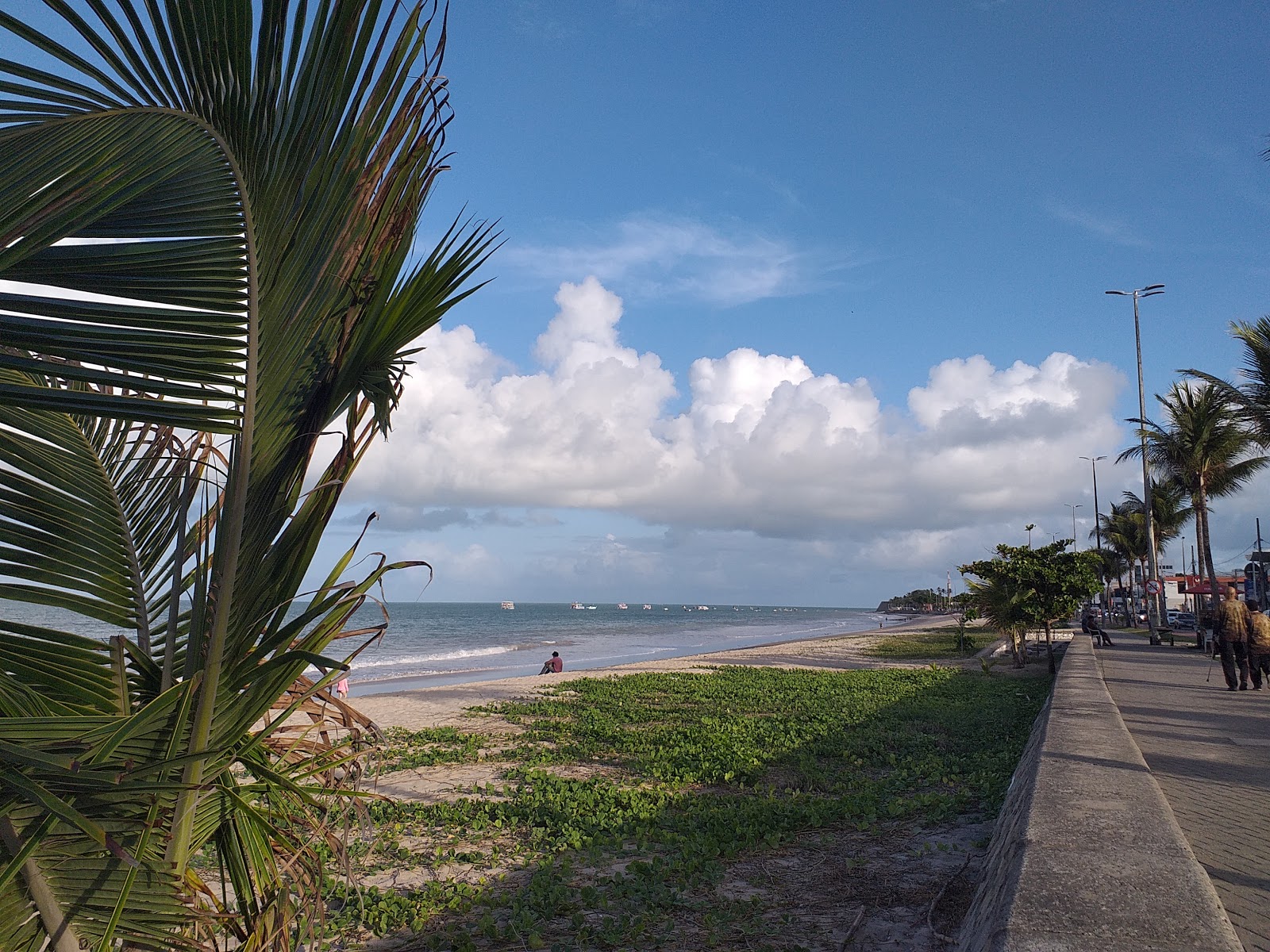 Praia de Manaira photo #9