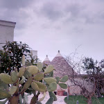 Photo n°5 de l'avis de Christian.o fait le 25/02/2018 à 16:45 sur le  Masseria Ancella à Montalbano