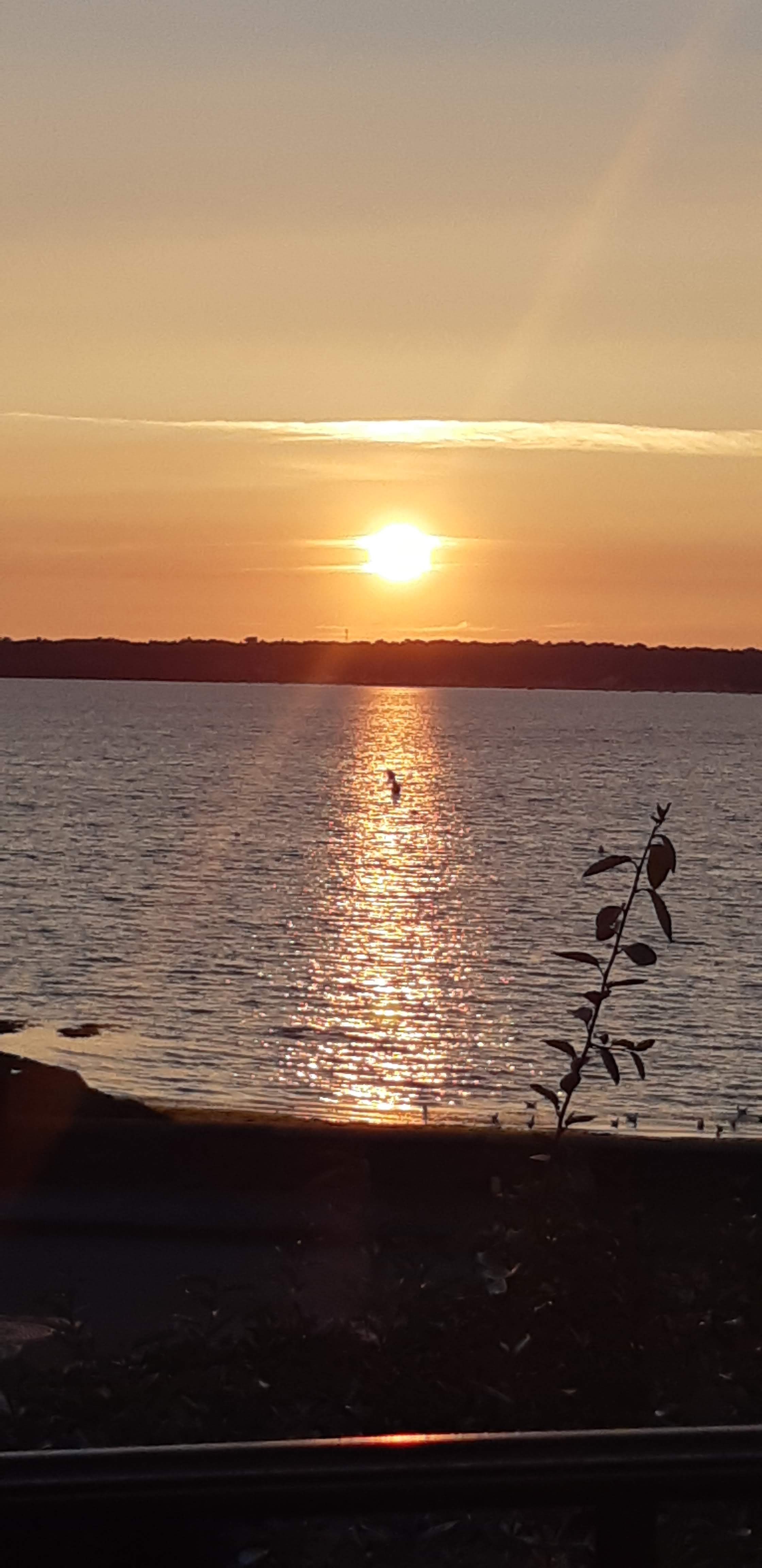 Photo n° 4 de l'avis de Brigitte.o fait le 30/08/2018 à 15:30