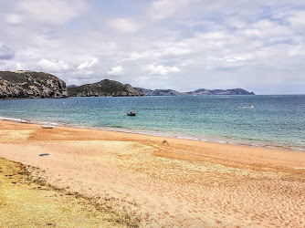 Tauranga Bay Beach Foreshore Reserve