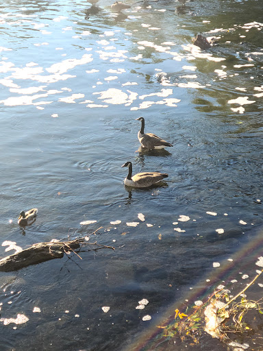 History Museum «SLATER MILL-Historic Site», reviews and photos, 67 Roosevelt Ave, Pawtucket, RI 02860, USA