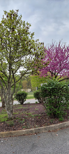 Park «Smith Lake Park», reviews and photos, 370 Doc Stone Rd, Stafford, VA 22556, USA