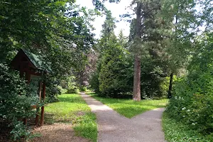 Arboretum image