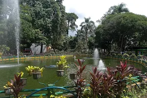 Taman Beringin image