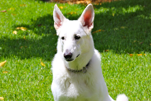 Beer Store «GK Food Mart», reviews and photos, 1876 14th Ave, Vero Beach, FL 32960, USA