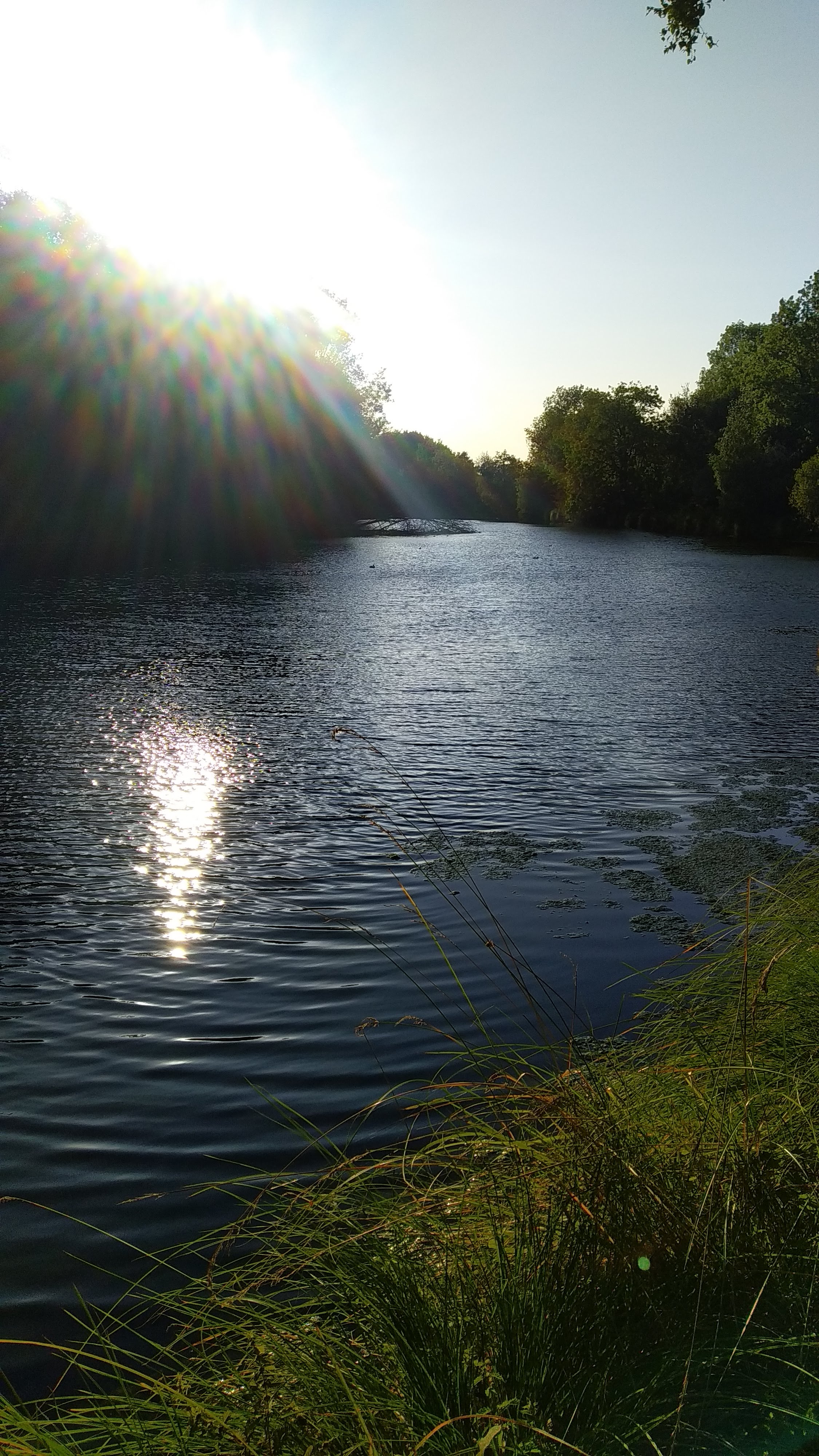 Photo n° 3 de l'avis de Philippe.a fait le 05/09/2019 à 14:39
