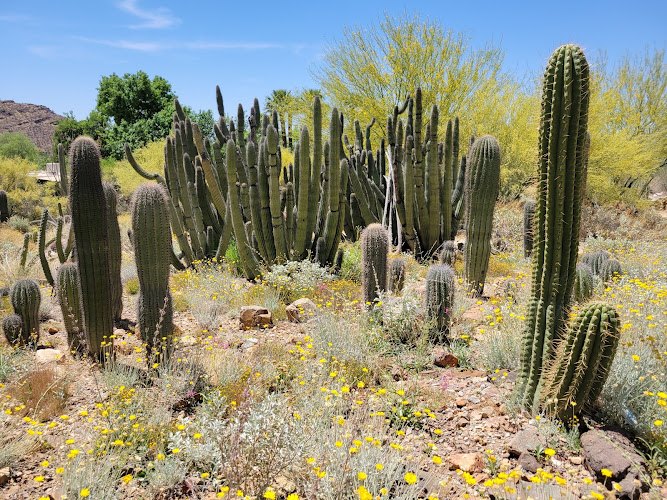 Arizona-Sonora Desert Museum