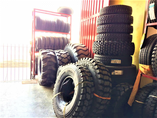 Comentarii opinii despre Multillantas Yasani