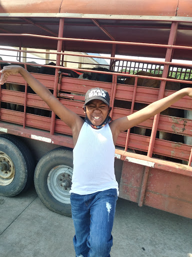 Clothing Store «Citi Trends», reviews and photos, 1355 E Vine St #1357, Kissimmee, FL 34744, USA