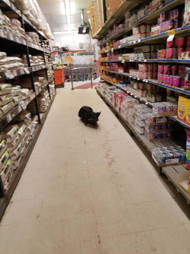 Pet Supply Store «K-9 Specialties», reviews and photos, 31936 Mound Rd, Warren, MI 48092, USA