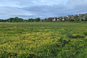 Swannies Field image