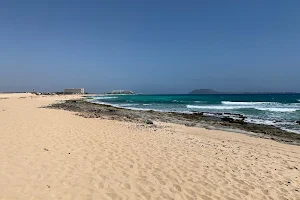 Beaches of Corralejo image