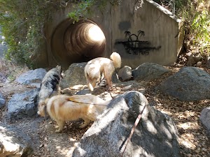 Stunt Ranch - photo 6