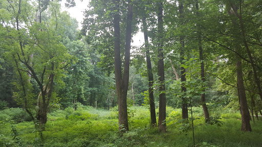 Natural History Museum «Fernbank Museum of Natural History», reviews and photos, 767 Clifton Rd, Atlanta, GA 30307, USA