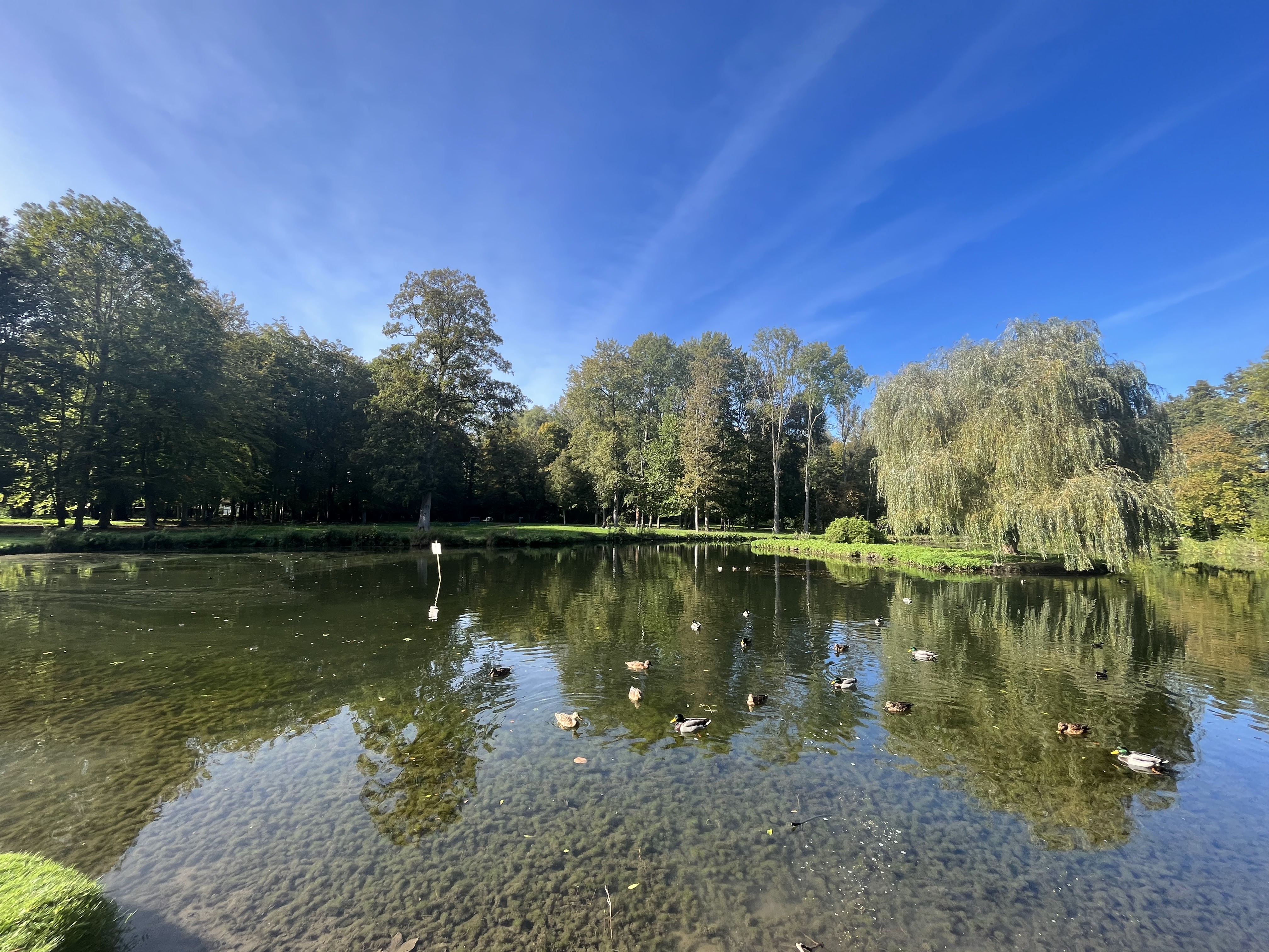 Photo n° 2 de l'avis de 19.6 fait le 16/10/2023 à 15:12