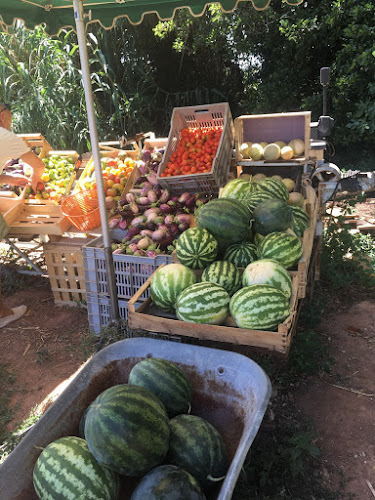 Épicerie Les Légumes D'auré Solliès-Pont