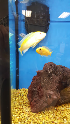 Pet Supply Store «Petco Animal Supplies», reviews and photos, 1203 SE Everett Mall Way f, Everett, WA 98208, USA