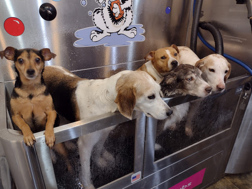 Pet Groomer «Belly scRubs Self Service Pet Wash», reviews and photos, 119 WV-34 #1, Hurricane, WV 25526, USA