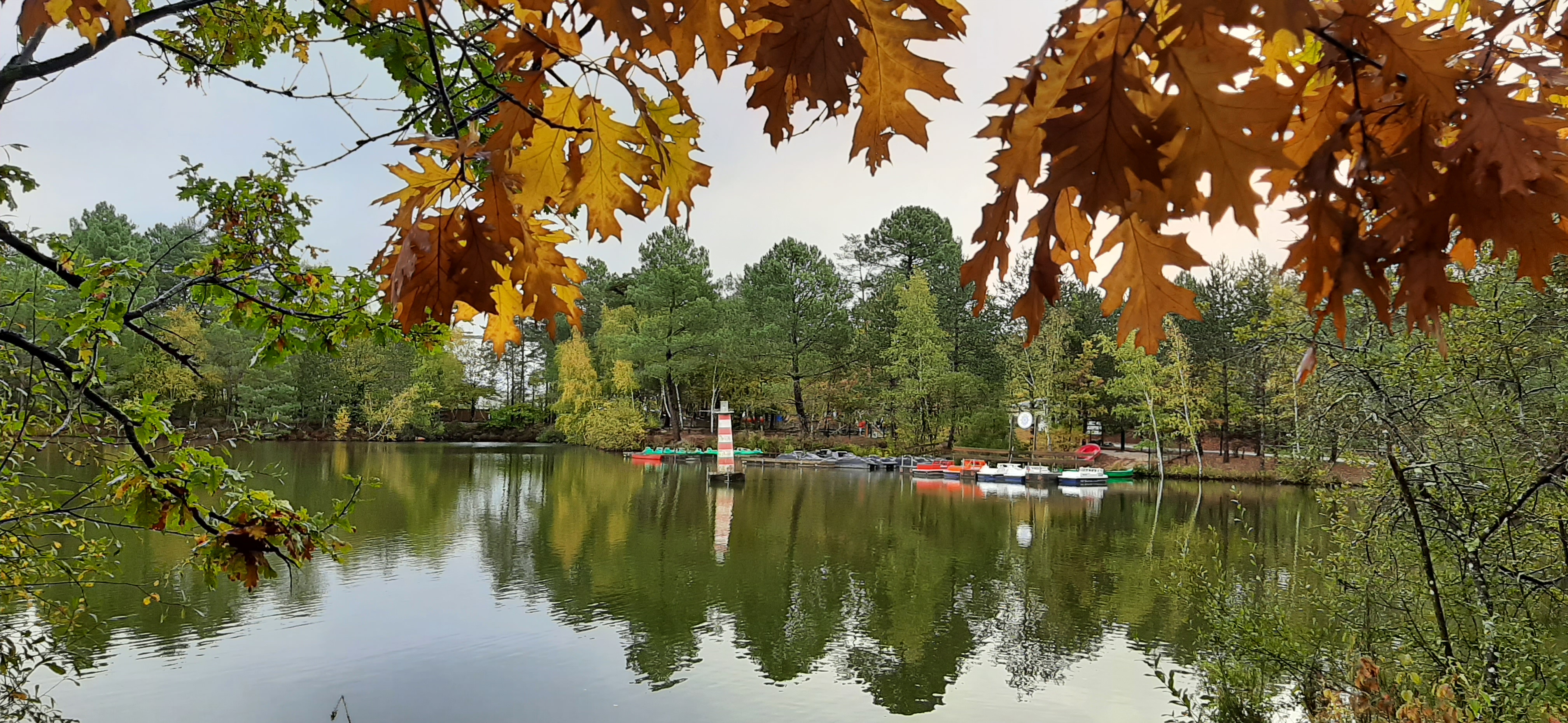 Photo n° 7 de l'avis de Beatrice.a fait le 30/10/2023 à 21:13