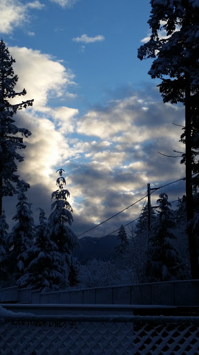 Liquor Store «Snoqualmie Tobacco & Liquor Company», reviews and photos, 37500 SE North Bend Way, Snoqualmie, WA 98065, USA