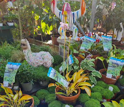 Garden Center in Tegel GmbH photo