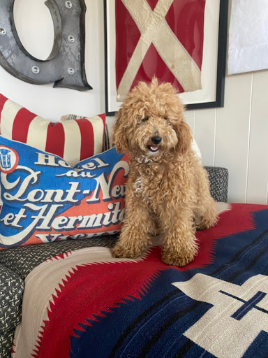 Furniture Store «Bungalow Furniture & Accessories», reviews and photos, 15330 N Hayden Rd #120, Scottsdale, AZ 85260, USA