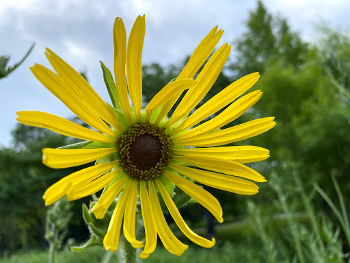 Park «Pioneer Park», reviews and photos, 10505 Deerfield Rd, Montgomery, OH 45242, USA