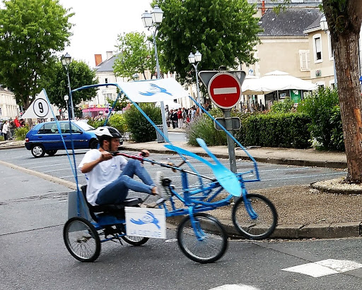 La Cistude à Le Blanc, Indre
